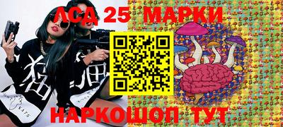Альфа ПВП Славянск-на-Кубани