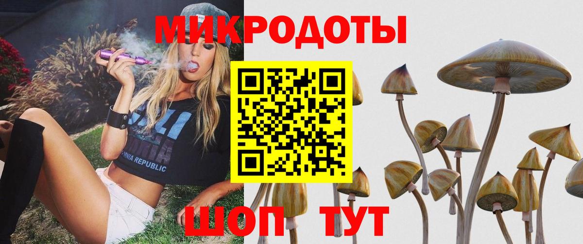 Псилоцибиновые грибы прущие грибы Балашиха